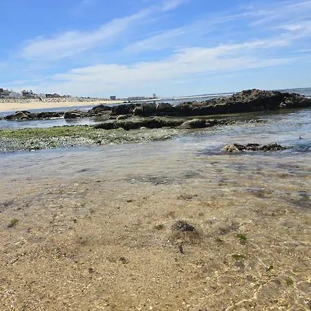 아파트 Casa Pedra Da Nau- 2 Bedroom @figueira Da Foz 부아르코스