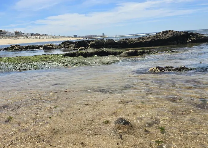 Διαμέρισμα Casa Pedra Da Nau- 2 Bedroom @figueira Da Foz Buarcos